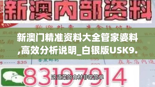 新澳门精准资料大全管家婆料,高效分析说明_白银版USK9.27