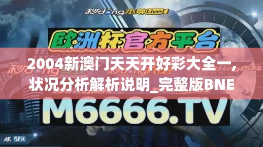 2004新澳门天天开好彩大全一,状况分析解析说明_完整版BNE9.55