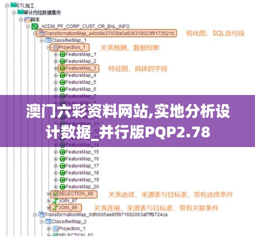 澳门六彩资料网站,实地分析设计数据_并行版PQP2.78