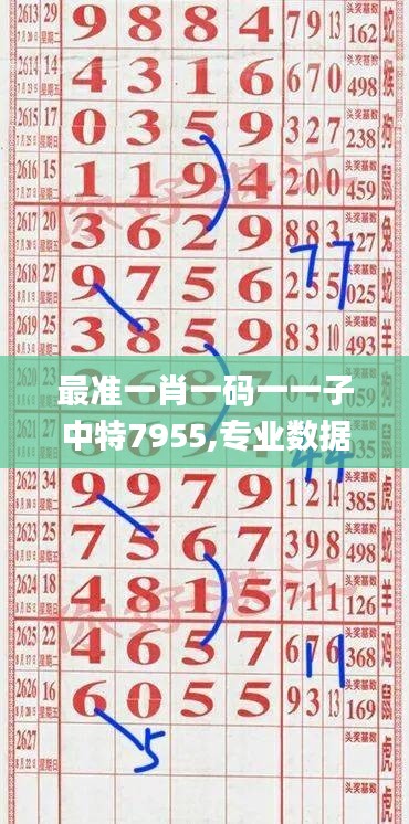 最准一肖一码一一子中特7955,专业数据解释设想_效率版DZR4.61