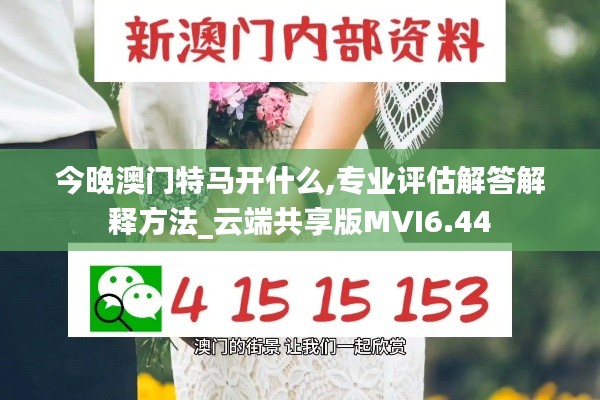 今晚澳门特马开什么,专业评估解答解释方法_云端共享版MVI6.44