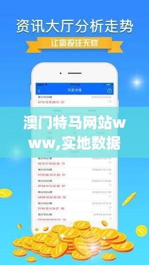 澳门特马网站www,实地数据验证分析_TabletINQ1.33