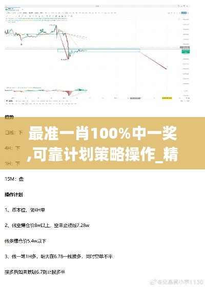 最准一肖100%中一奖,可靠计划策略操作_精简版DKT7.49