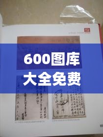 600图库大全免费资料图2024,地质学_尊享版TLE6.80