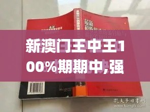 新澳门王中王100%期期中,强化品牌落实探讨_怀旧版TGP9.54