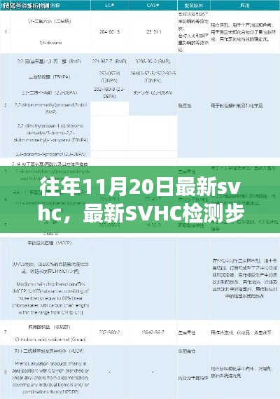 往年11月20日SVHC检测最新指南，步骤解析与任务完成策略