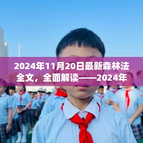 建议，深度解析2024年最新森林法全文，法规解读与用户体验洞察