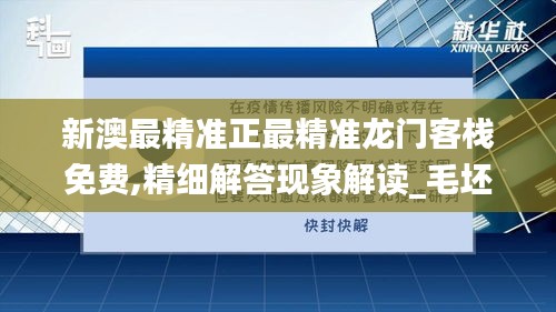 新澳最精准正最精准龙门客栈免费,精细解答现象解读_毛坯版PYH1.57