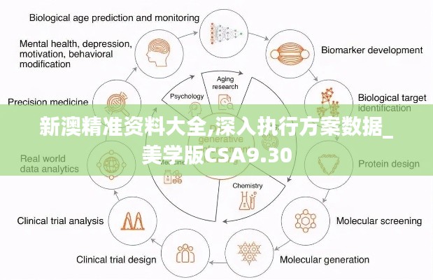 新澳精准资料大全,深入执行方案数据_美学版CSA9.30