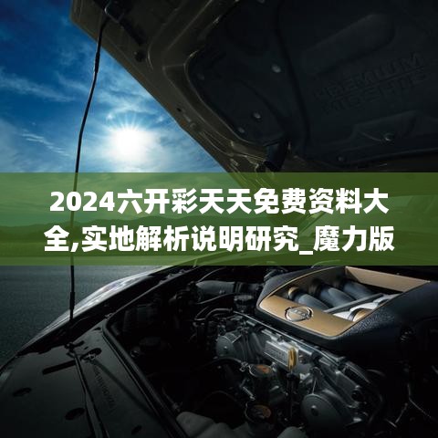 2024六开彩天天免费资料大全,实地解析说明研究_魔力版VZE6.46