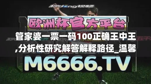 管家婆一票一码100正确王中王,分析性研究解答解释路径_温馨版PTU4.47