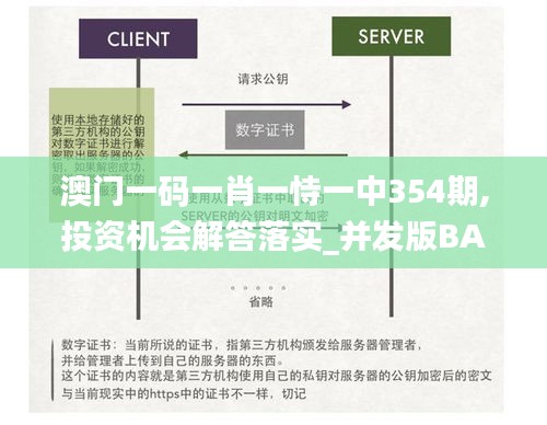 澳门一码一肖一恃一中354期,投资机会解答落实_并发版BAG5.21