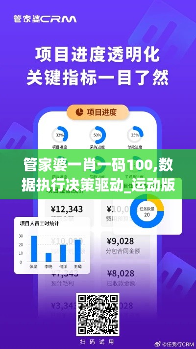 管家婆一肖一码100,数据执行决策驱动_运动版REC6.65