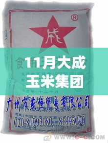 大成玉米集团十一月动态速递，瞩目事件、深度影响与时代地位揭秘