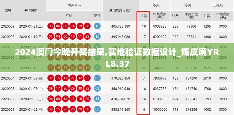 2024澳门今晚开奖结果,实地验证数据设计_炼皮境YRL8.37