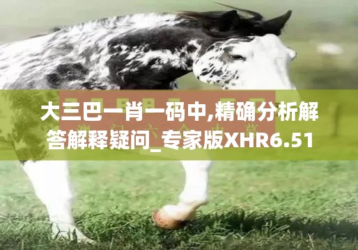 大三巴一肖一码中,精确分析解答解释疑问_专家版XHR6.51