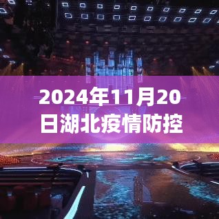 湖北疫情防控新篇章，学习变化的力量，共筑未来希望之桥（2024年11月最新动态）