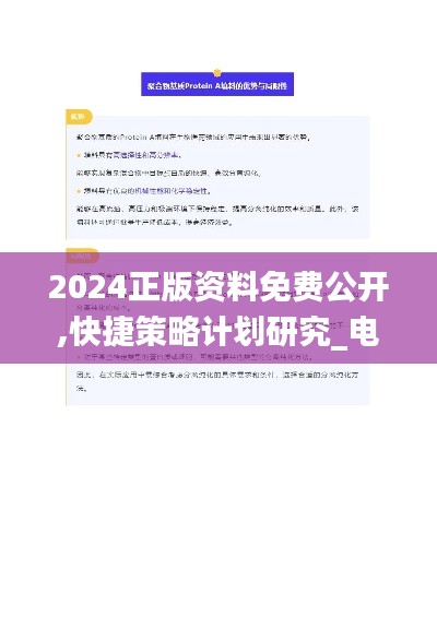 2024正版资料免费公开,快捷策略计划研究_电商版QFI3.29