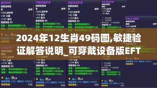 2024年12生肖49码图,敏捷验证解答说明_可穿戴设备版EFT6.28