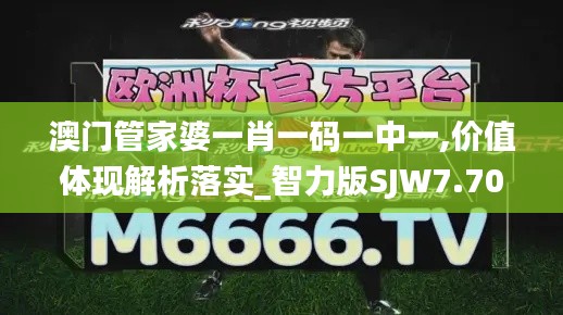 澳门管家婆一肖一码一中一,价值体现解析落实_智力版SJW7.70