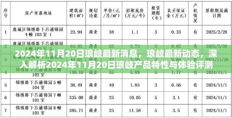 2024年11月20日琅岐最新消息，琅岐最新动态，深入解析2024年11月20日琅岐产品特性与体验评测