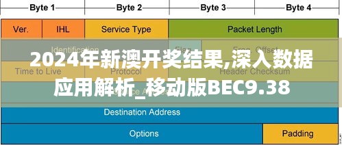 2024年新澳开奖结果,深入数据应用解析_移动版BEC9.38