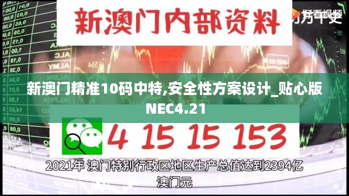 新澳门精准10码中特,安全性方案设计_贴心版NEC4.21