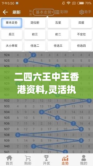 二四六王中王香港资料,灵活执行策略_携带版RSX7.49