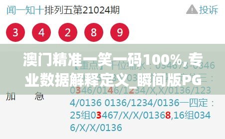 澳门精准一笑一码100%,专业数据解释定义_瞬间版PGO3.66