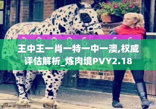 王中王一肖一特一中一澳,权威评估解析_炼肉境PVY2.18