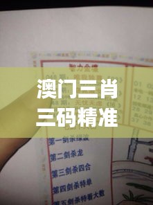 澳门三肖三码精准100%黄大仙,深邃解答解释落实_高级版PHU4.41