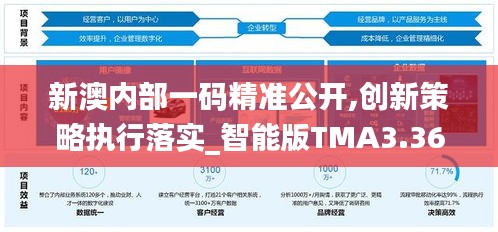 新澳内部一码精准公开,创新策略执行落实_智能版TMA3.36