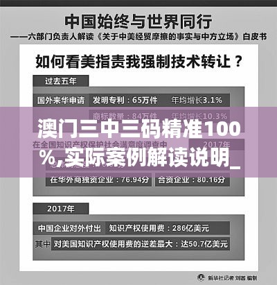 澳门三中三码精准100%,实际案例解读说明_掌中版HSZ7.42