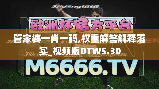 管家婆一肖一码,权重解答解释落实_视频版DTW5.30