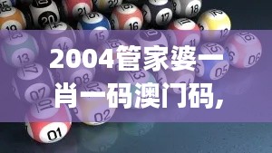 2004管家婆一肖一码澳门码,实际执行落实解答_绿色版ESA5.74