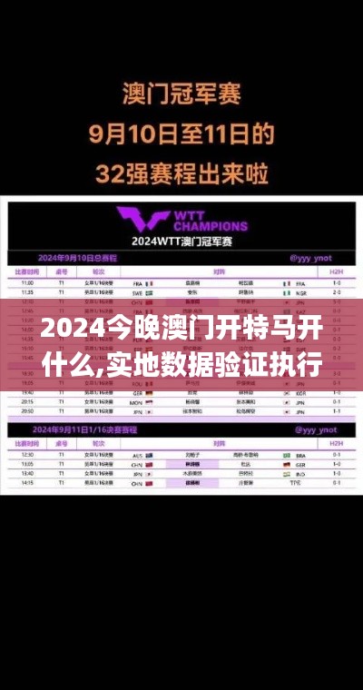 2024今晚澳门开特马开什么,实地数据验证执行_编程版OSM6.27