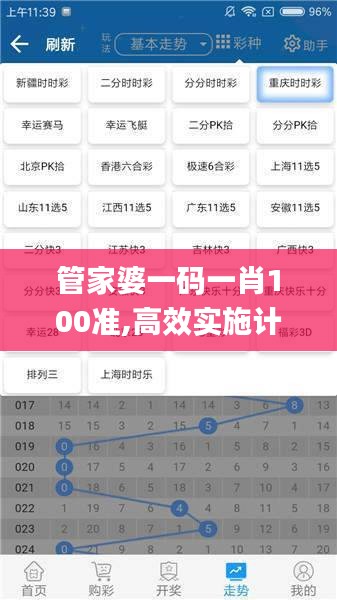 管家婆一码一肖100准,高效实施计划解析_专属版XCM5.15