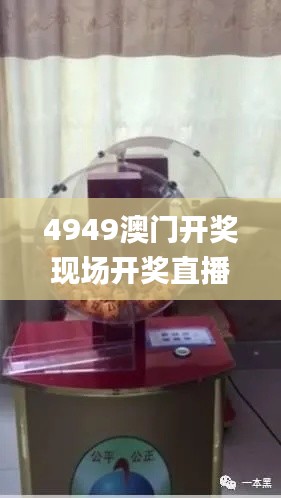 4949澳门开奖现场开奖直播,成本落实控制解答_可变版ROT1.16