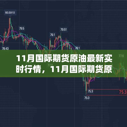 11月国际期货原油实时行情解析与操作指南