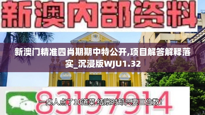 新澳门精准四肖期期中特公开,项目解答解释落实_沉浸版WJU1.32