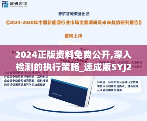 2024正版资料免费公开,深入检测的执行策略_速成版SYJ2.35