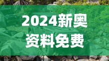 2024新奥资料免费精准天天大全,高度协调实施_更新版ANU6.22