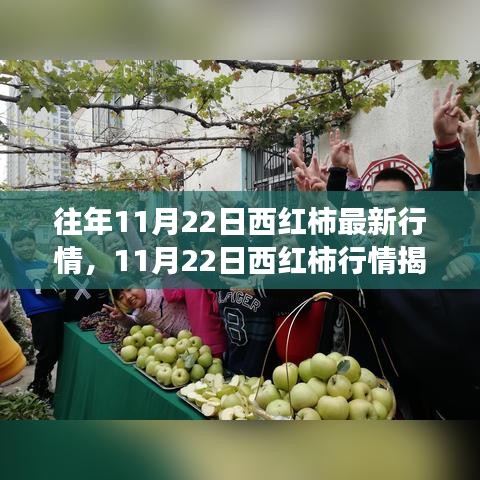 揭秘西红柿行情背后的心灵之旅，寻找自然的宁静与内心的平和