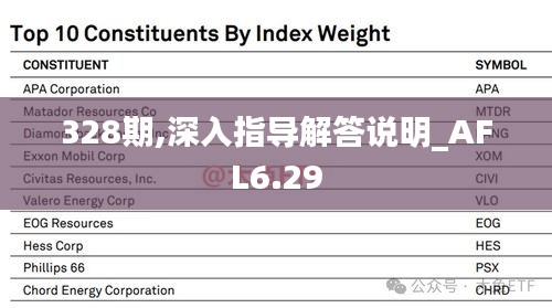 328期,深入指导解答说明_AFL6.29