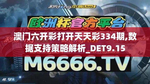 澳门六开彩打开天天彩334期,数据支持策略解析_DET9.15