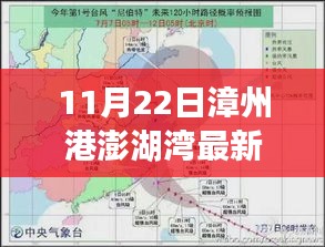 漳州港澎湖湾最新房价动态解析，深度探讨与最新动态（11月22日）