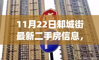 11月22日邾城街二手房市场深度解析，最新信息与多方观点碰撞