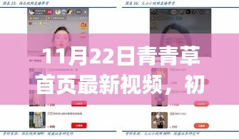 初学者与进阶用户必看，11月22日青青草首页最新视频观看全攻略