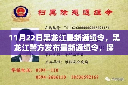 黑龙江警方发布最新通缉令，深度解读与竞品分析揭秘事件真相