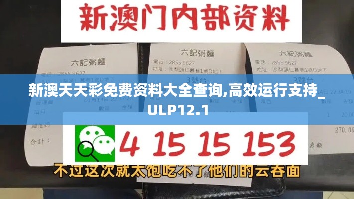 新澳天天彩免费资料大全查询,高效运行支持_ULP12.1